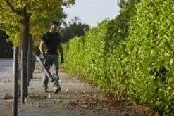 Stiga BL 980 R Benzine Bladblazer - 75,6cc - 2-takt - 100m/s - 25m³/min - 3,1kW -Home gereedschap af36fc04125bf7fe96c90a2a0b5ef8f3