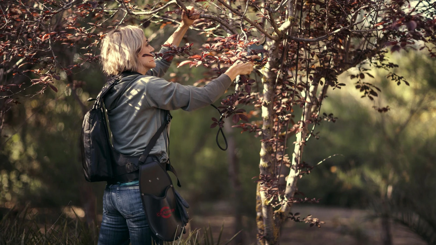 Cramer 82P 82V Li-Ion Accu Snoeischaar Body - 40 Mm - Koolborstelloos 3 Cramer 82P 82V Li-Ion Accu Snoeischaar Body - 40 Mm - Koolborstelloos - Afbeelding 3