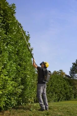 Stiga PH 900e Accu Heggenschaar Body Op Steel - 50cm - 34mm - Telescopisch -Home gereedschap f701098bd23dbb7cd4add1f5f6b35d0a